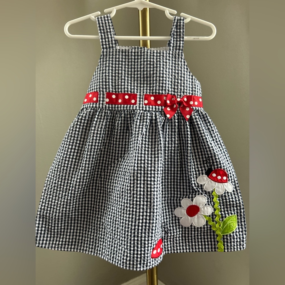 Emily Rose Gingham Dress with Red and White Accents